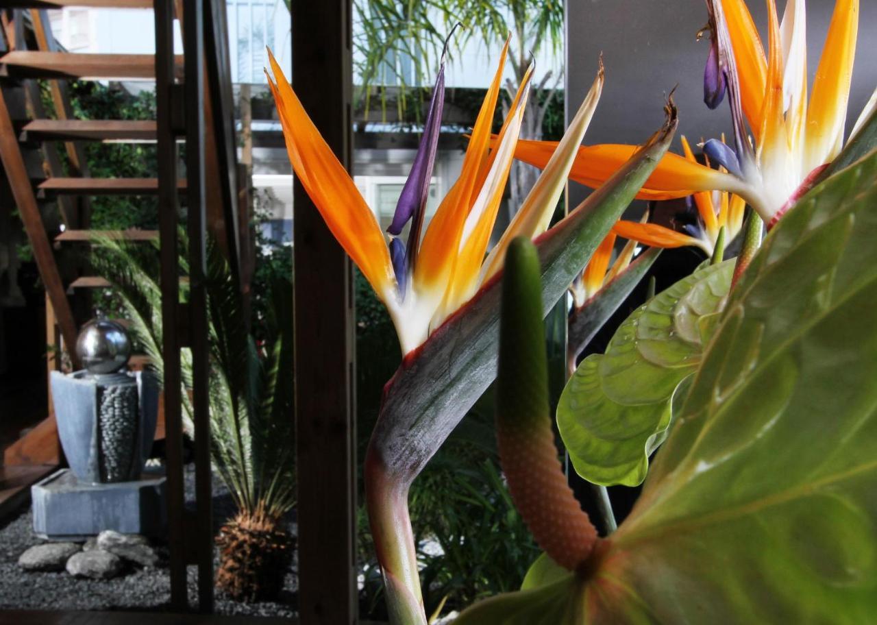 Bleu Mer Duplex & Suites Saint-Cyprien  Ngoại thất bức ảnh